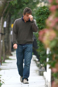 Hugh Grtant 8 hugh grant topis