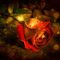 0_14c6a2_cd342642_origRózsa 233323wwww