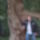 2016_08_1516_betlerkrasznahorkajaszo_020_1509925_3020_t