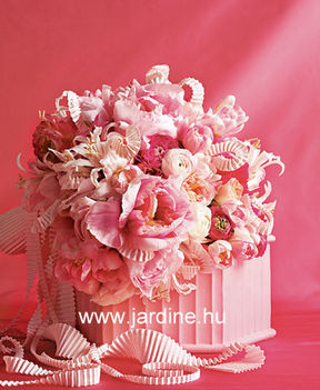 jardine pink