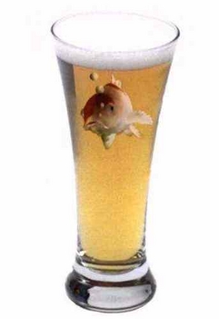 beerfish