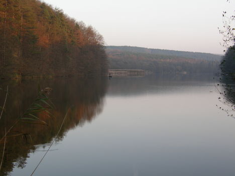Esteledik