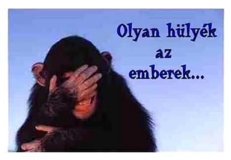 hulo