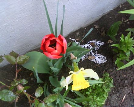 IMG0482A