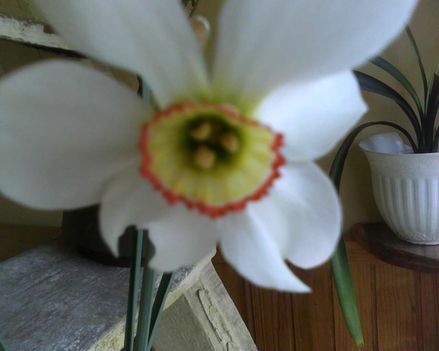 IMG0518A