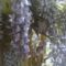 IMG0551A