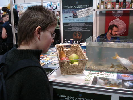 MTB_Educatio09