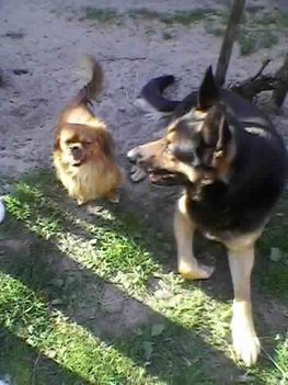 SP_A0262ottelo