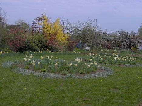 2011 kert Április 035