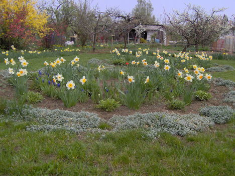 2011 kert Április 037