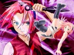 2097_sakura