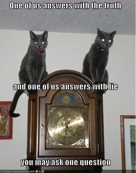 funny-pictures-one-with-truth-one-with-lie-cats-clock