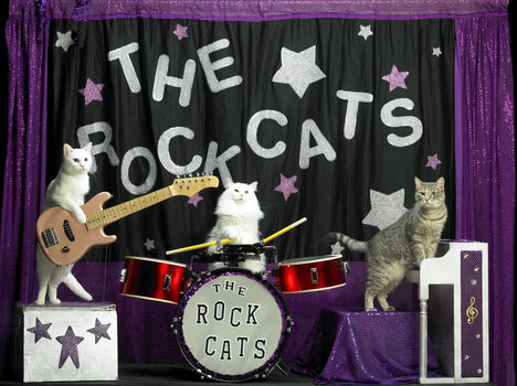 New-RockCats-cropped