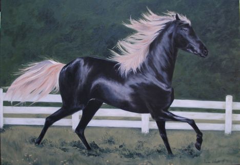 fekete ló2