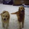 PICT0038