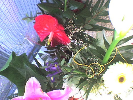 fia Erik ballagási virágai 6