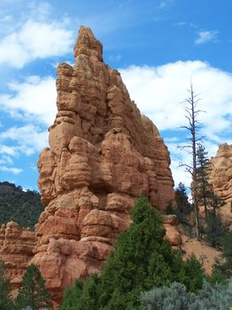 Zion&Bryse Canyon 054