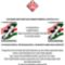 hungarista propagand