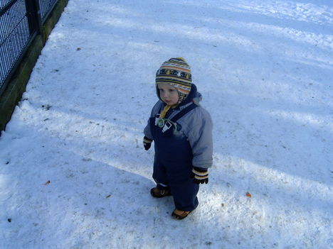 Húúú....! Merre is menjek most? 