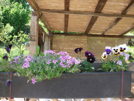 készülőfélben levő kerti pihenő virágokkal