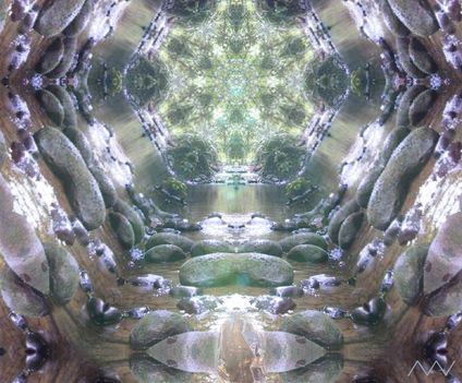 Nyako Nakar Képe 12 cristal_forest