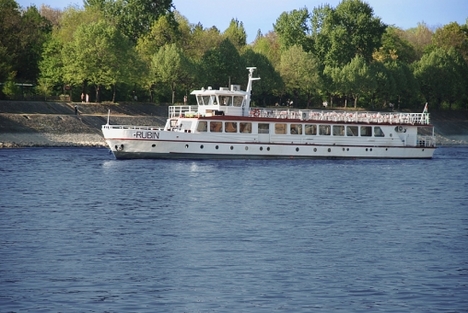 Rubin 04