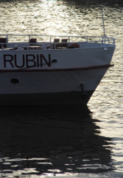 Rubin 11