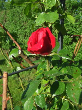 2011. 05. 11