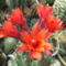 DSCF4195