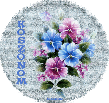 Kedves Networkos Barátaim!Köszönöm