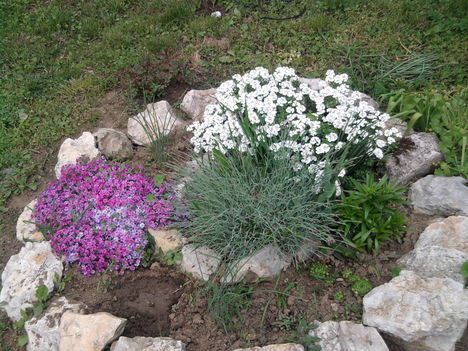 szikla kertem