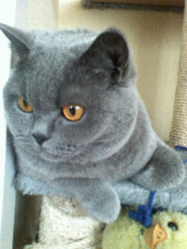 webmail2_new[1]