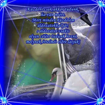 héli2