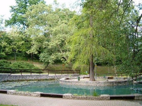 Park tóval