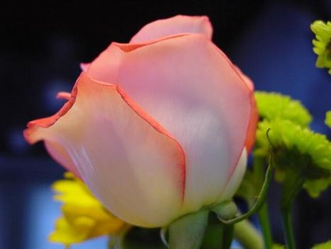 7f17b6cae156f1199d4b88ded069d42c_web