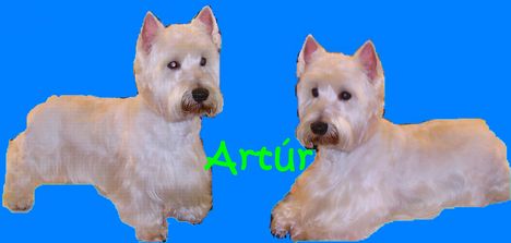 Artur kozmetika utan