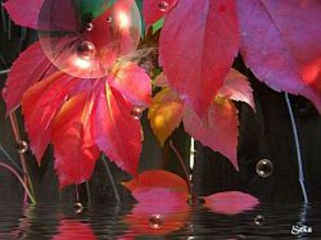 autumnplayingss