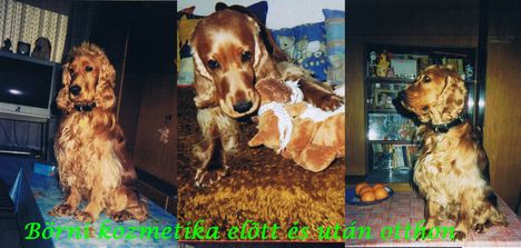 börni2