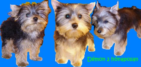 Demon kozmetika elott es utanna