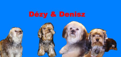 Dezy denis kozos