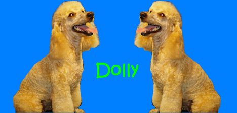 Dolly