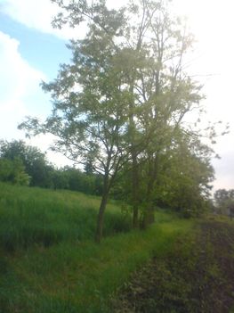 DSC00066