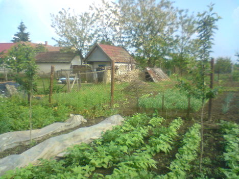 DSC00101