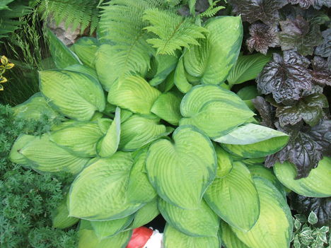 DSCF2772