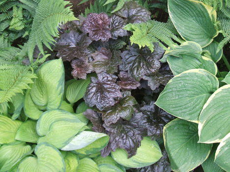 DSCF2773