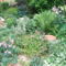 DSCF2786