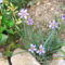 DSCF2790