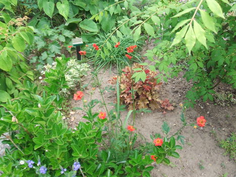 DSCF2794