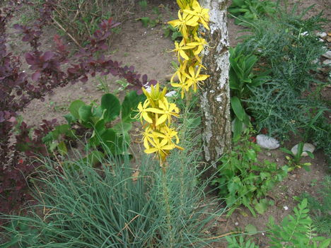 DSCF2807