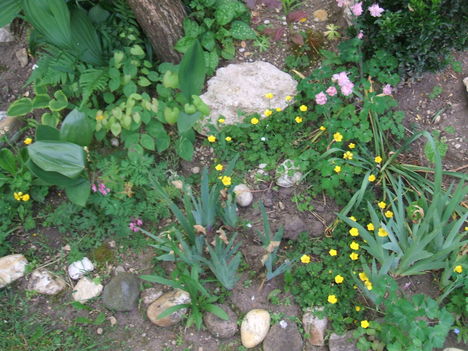 DSCF2818